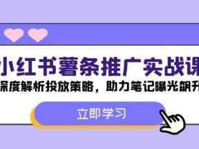 小红书-薯条推广实战课：深度解析投放策略，助力笔记曝光飙升