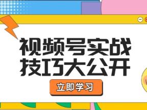 视频号实战技巧大公开：选题拍摄、运营推广、直播带货一站式学习