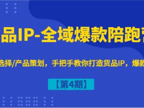 货品IP-全域爆款陪跑营【第4期】赛道选择/产品策划，手把手教你打造货品IP，爆款不断