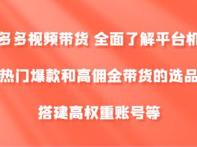 拼多多视频带货 全面了解平台机制、热门爆款和高佣金带货的选品，搭建高权重账号等