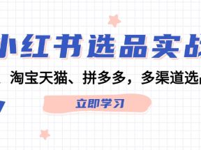 小红书选品实战：站内、淘宝天猫、拼多多，多渠道选品策略