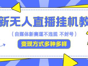 最新无人直播挂机教程，可自用可收徒，收益无上限，一天啥都不干光靠收徒变现5000+