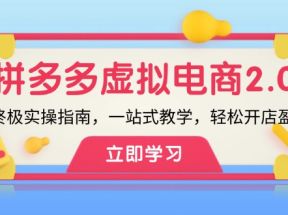 拼多多虚拟项目2.0：终极实操指南，一站式教学，轻松开店盈利