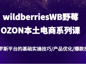 wildberriesWB野莓/OZON本土电商系列课，俄罗斯平台的基础实操技巧/产品优化/爆款打造