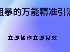 简单粗暴的万能精准引流技巧 立即操作立即见效