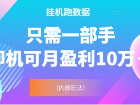 挂机跑数据，只需一部手即机可月盈利10万＋（内部玩法）价值4988元