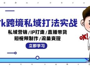 Tk跨境私域打法实战：私域营销/IP打造/直播带货/短视频制作/流量变现