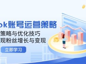 TikTok账号运营策略：涨粉策略与优化技巧，快速实现粉丝增长与变现