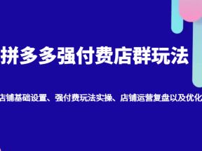 拼多多强付费店群玩法：店铺基础设置、强付费玩法实操、店铺运营复盘以及优化