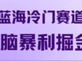 最新蓝海冷门赛道音频，无脑暴利掘金