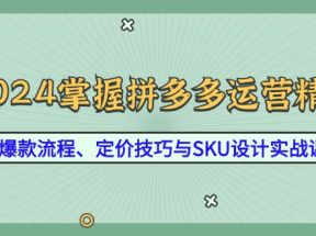 2024掌握拼多多运营精髓：爆款流程、定价技巧与SKU设计实战课