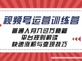 视频号运营训练营：普通人月入过万秘籍，平台规则解读，快速涨粉与变现