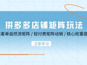 拼多多店铺矩阵玩法：低客单自然流矩阵 / 轻付费矩阵 动销 / 核心权重提升