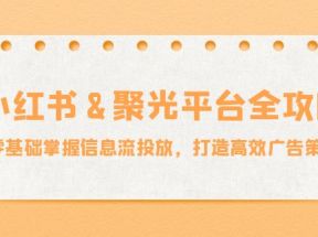 小红薯聚光平台全攻略：零基础掌握信息流投放，打造高效广告策略