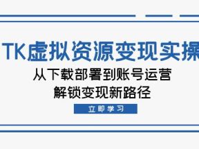 TK虚拟资源变现实操：从下载部署到账号运营，解锁变现新路径