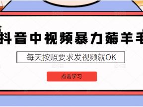 抖音中视频暴力薅羊毛白嫖项目，3天新号每天也有20块收益，可批量