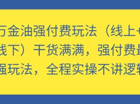 万金油强付费玩法（线上+线下）干货满满，强付费最强玩法，全程实操不讲逻辑