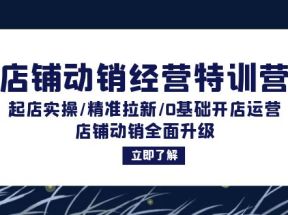 店铺动销经营特训营：起店实操/精准拉新/0基础开店运营/店铺动销全面升级