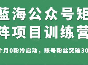 蓝海公众号矩阵项目训练营，2个月0粉冷启动，账号粉丝突破30w，价值1800元