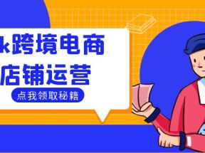 Tk跨境电商店铺运营：选品策略与流量变现技巧，助力跨境商家成功出海