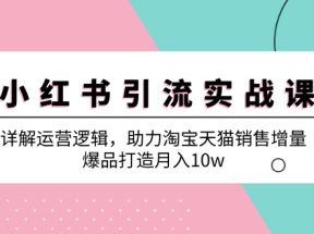 小红书引流实战课：详解运营逻辑，助力淘宝天猫销售增量，爆品打造月入10w