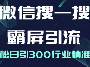 微信搜一搜霸屏引流课，打造被动精准引流系统，轻松日引300行业精准粉