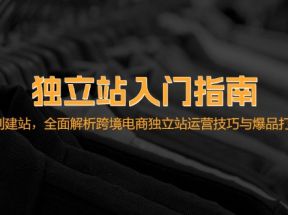 独立站入门指南：从选品到建站，全面解析跨境电商独立站运营技巧与爆品打造方法