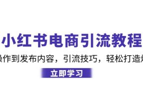 小红书电商引流教程：从基础操作到发布内容，引流技巧，轻松打造爆款产品