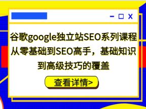 谷歌google独立站SEO系列课程，从零基础到SEO高手，基础知识到高级技巧的覆盖