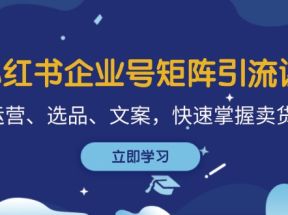 小红书企业号矩阵引流课，涵盖运营、选品、文案，快速掌握卖货技巧