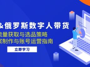 快手俄罗斯 数字人带货：流量获取与选品策略 文案制作与账号运营指南