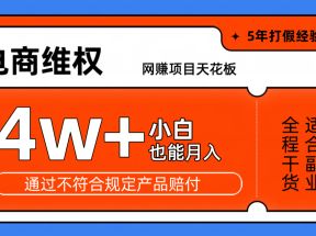 网赚项目天花板电商购物维权月收入稳定4w+独家玩法小白也能上手