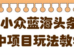 蓝海小众领域头条项目玩法，收益稳定，做的时间越久收益越高