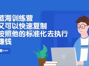 抖店蓝海训练营：简单又可以快速复制，只要按照他的标准化去执行就能赚钱