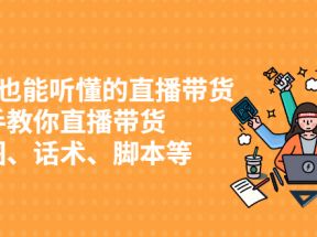 0基础也能听懂的直播带货，手把手教你直播带货 链路图、话术、脚本等