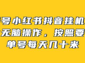 视频号小红书抖音挂机项目，小白无脑操作，按照要求来，单号每天几十米