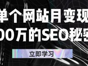 单个网站月变现100万的SEO秘密，百分百做出赚钱站点 