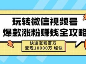 玩转微信视频号爆款涨粉赚钱全攻略，快速涨粉百万变现万元秘诀