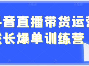 超详细的抖音直播带货运营成长爆单训练营，手把手教你玩转直播带货（价值4980元）