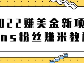 2022赚美金新项目，Instagram粉丝赚米项目【视频教程】