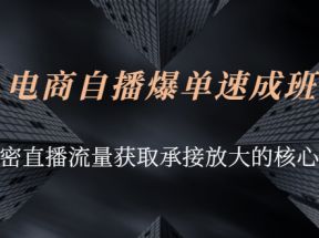 电商自播爆单速成班：解密直播流量获取承接放大的核心密码