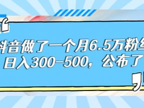 某公众号付费文章：抖音做了一个月6.5万粉丝，日入300-500，公布了