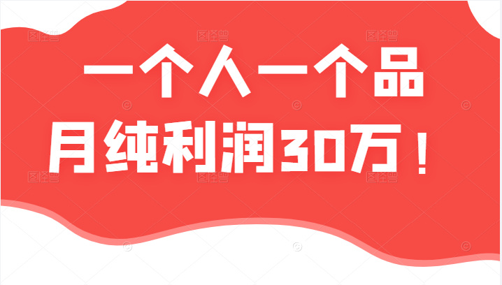 一个人一个品月纯利润30万的蓝海电商经典案例