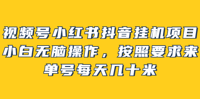 视频号小红书抖音挂机项目