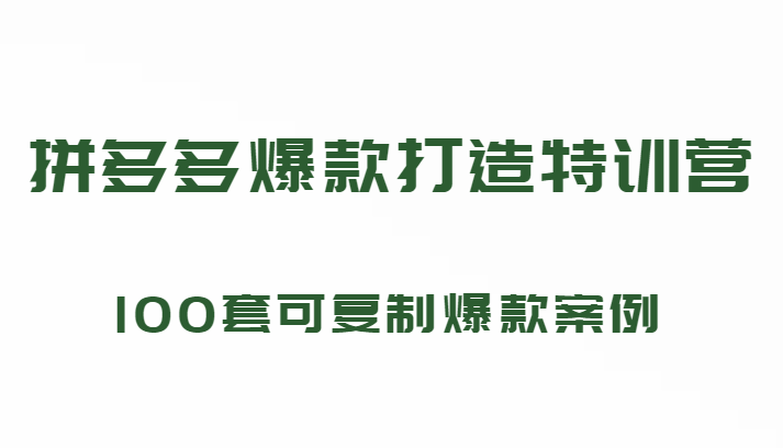 拼多多爆款打造特训营，199元*100套可复制爆款案例（持续更新中)