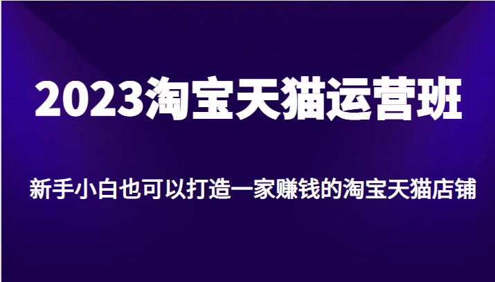 2023淘宝天猫运营班，新手小白也可以打造一家赚钱的淘宝天猫店铺