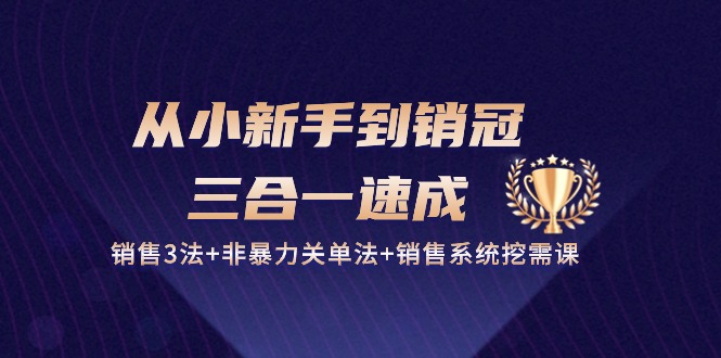 从小新手到销冠三合一速成：销售3法+非暴力关单法+销售系统挖需课 (27节)