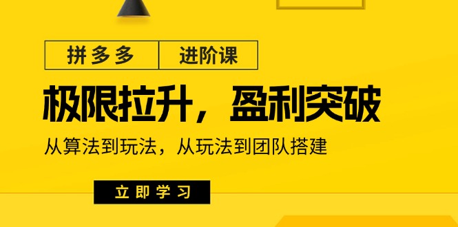 拼多多进阶课：极限拉升/盈利突破：从算法到玩法 从玩法到团队搭建（18节）